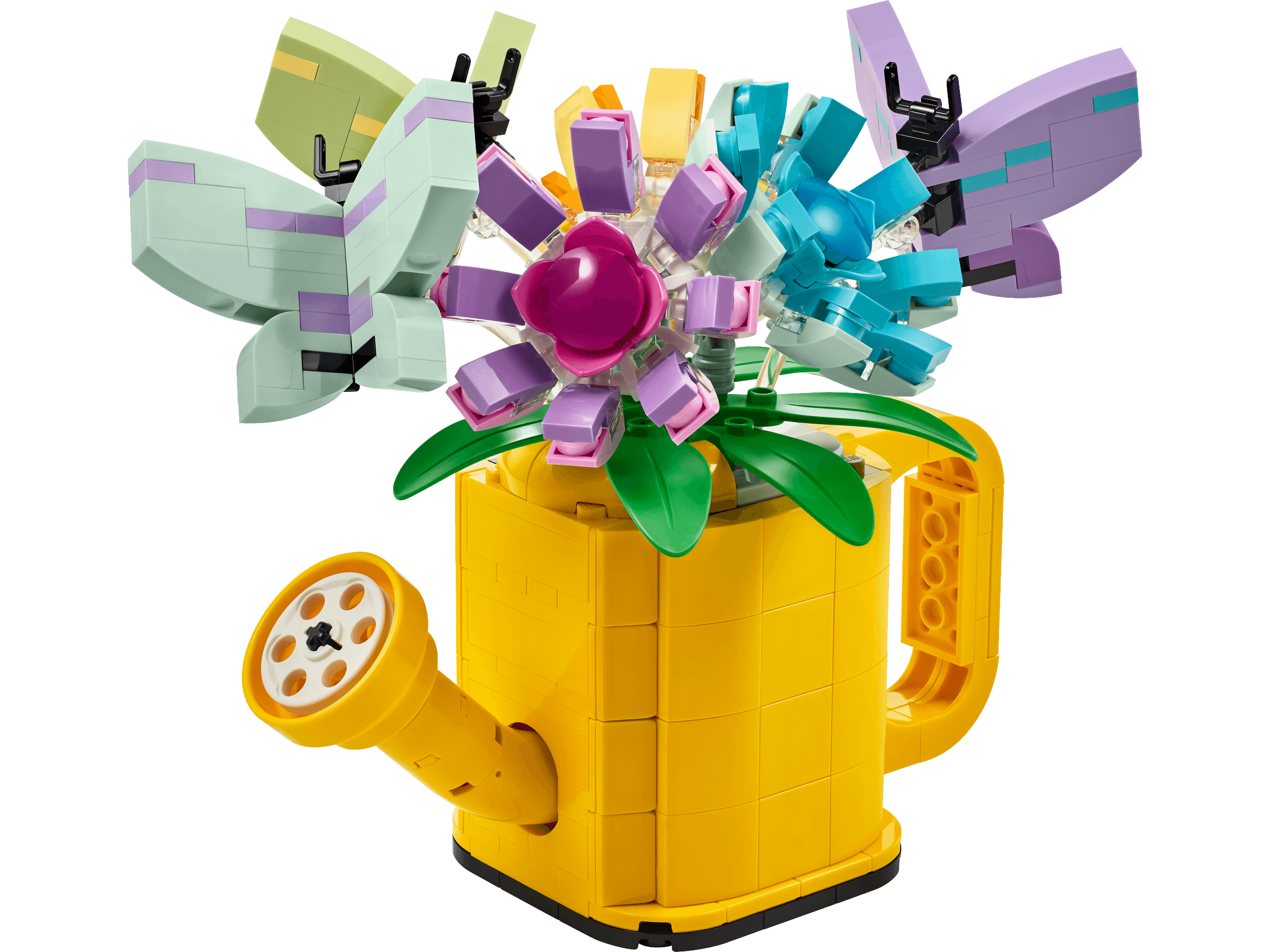 Flowers in Watering Can